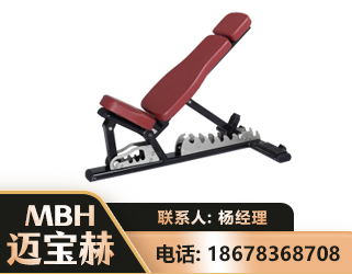 贵阳可调哑铃椅